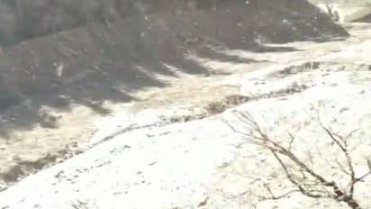 हिमस्खलन में शहीद हुए 7 जवानों के परिजन को अरुणाचल के सीएम ने 4-4 लाख रु. मुआवजे का एलान किया