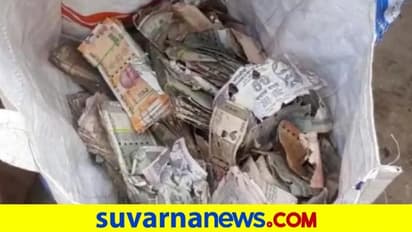 ಟ್ರಂಕ್‌ನಲ್ಲಿಟ್ಟಿದ್ದ ಜೀವಮಾನದ ಪೂರ್ತಿ ಸಂಪಾದನೆ ಸ್ವಾಹಾ ಮಾಡಿದ ಗೆದ್ದಲು