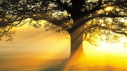 రోహిణి కార్తె ప్రారంభం.. !