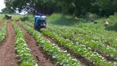 ಕೊರೋನಾ ಜೊತೆ ಮತ್ತೊಂದು ಬರೆ: ರೈತರಿಗೆ ಶಾಕಿಂಗ್‌ ಸುದ್ದಿ..!