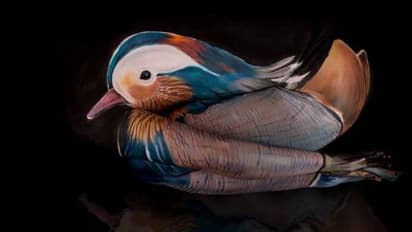 ഈ ചിത്രങ്ങൾ വരച്ചിരിക്കുന്നത് മനുഷ്യശരീരങ്ങളിൽ!