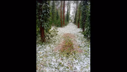 ಕೊಡಗಿನಲ್ಲಿ ಸುರಿದ ಆಲಿಕಲ್ಲು ಮಳೆ: ದಕ್ಷಿಣ ಕಾಶ್ಮೀರದಲ್ಲಿ ಸ್ನೋ ಫಾಲ್ ರೀತಿ