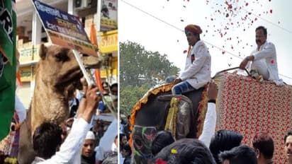 विरोध की एक तस्वीर ऐसी भी: न ट्रैक्टर न कार..राजस्थान में ऊंट-हाथी पर सवार होकर निकले मंत्री और MLA
