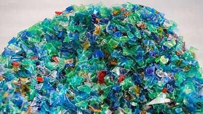 Rajasthan: Plastic goods to be prohibited from July 1