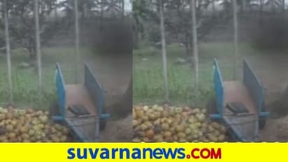 ಮಂಡ್ಯ ಜಿಲ್ಲೆಯಲ್ಲಿ ಆತಂಕ ಹುಟ್ಟಿಸಿದ ನಿಗೂಢ ದೃಶ್ಯ : ಬೆಚ್ಚಿದ ಜನ