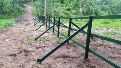 ആനയെ തടയാന് റെയിൽപാള വേലി റെഡി; ആദ്യപരീക്ഷണം ബത്തേരിയില്