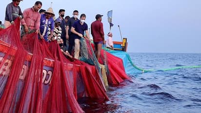 Rahul Gandhi goes fishing in Kerala, lands new controversy