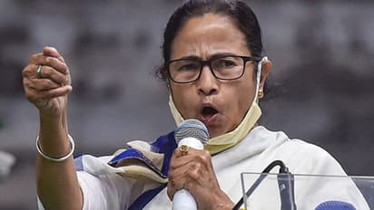 ' ওরা গুলি স্প্রে করেছে', শীতলকুচি কাণ্ডের প্রতিবাদে উত্তরবঙ্গে কালো পোশাকে মমতা