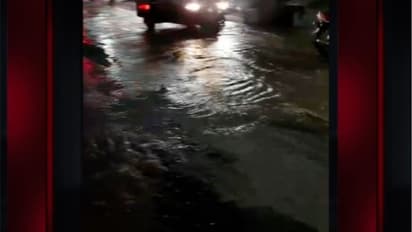 ആലപ്പുഴ കുടിവെള്ള പദ്ധതിയുടെ പൈപ്പ് വീണ്ടും പൊട്ടി; മൂന്നരവർഷത്തിനിടെ ഇത് അമ്പത്തിയാറാം തവണ