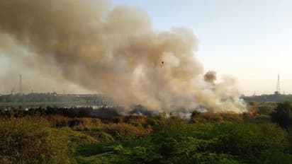 ಬೆಳ್ಳಂದೂರು ಕೆರೆಯಲ್ಲಿದ್ದ ಕಸದ ರಾಶಿಗೆ ಬೆಂಕಿ: ಆತಂಕ