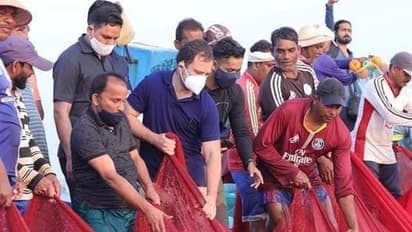 ಹೇಳದೆ ಕೇಳದೆ ಕಡಲಿಗೆ ಹಾರಿದ್ರು ರಾಹುಲ್ ಗಾಂಧಿ: ಫೊಟೋಸ್ ವೈರಲ್