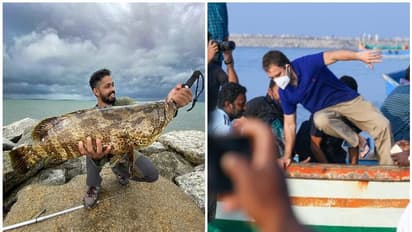 'ഫിഷിംഗ് ഫ്രീക്കനാ'യി രാഹുൽ ഗാന്ധി: വ്ലോഗ് ഇറങ്ങി