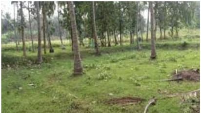 ഭൂമി തരംമാറ്റത്തിൽ പുതിയ ഉത്തരവ്; 25 സെന്റ് വരെ തരംമാറ്റുന്നതിന് ഫീസില്ല