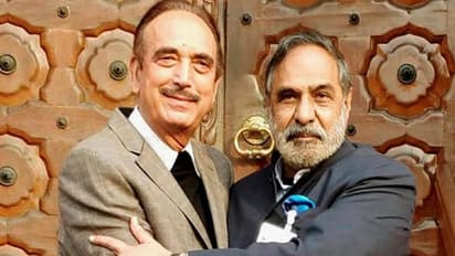 Exclusive: 'If G-23 leaders are acting on behalf of BJP, that cannot be tolerated'