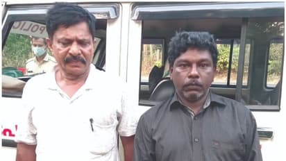 തുണിക്കച്ചവടത്തിന്റെ മറവിൽ കഞ്ചാവ് കച്ചവടം: രണ്ട് പേർ പിടിയിൽ