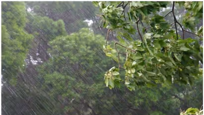 আজ বজ্রবিদ্যুৎ সহ ঝেপে বৃষ্টি বাংলায়, পারদ নেমে স্বস্তি ফিরল কলকাতায়