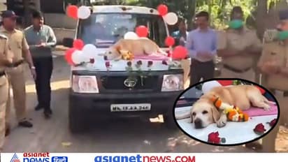 कार के बोनट पर डॉग और तालियां बजाते सिपाही, देखिए स्पाइक के रिटार्यडमेंट का भावुक VIDEO