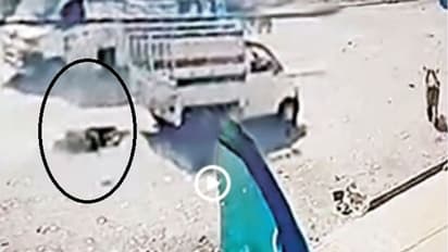 శ్రీశైలం యాత్రలో విషాదం... రోడ్డు ప్రమాదంలో 8మంది దుర్మరణం