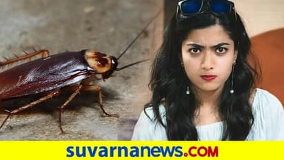 ರಶ್ಮಿಕಾ ನಿದ್ದೆ ಕೆಡಿಸಿದ ಜಿರಳೆ: ಕಿರಿಕ್ ಚೆಲುವೆ ಬಿಚ್ಚಿಟ್ರು ನಿದ್ದೆ ಇಲ್ಲದ ರಾತ್ರಿ ಕಥೆ