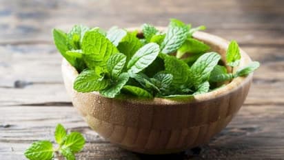 പുതിനയില ഭക്ഷണത്തില് ഉള്പ്പെടുത്തൂ; അറിയാം ഗുണങ്ങള്...