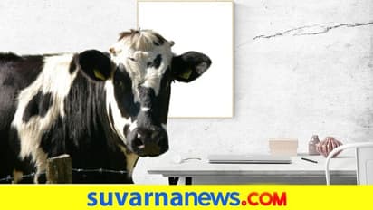 ಮನೆಯಲ್ಲಿ ಯಾವ ಪ್ರಾಣಿಯ ಫೋಟೋ ಎಲ್ಲಿಟ್ಟರೆ ಒಳ್ಳೇದು?