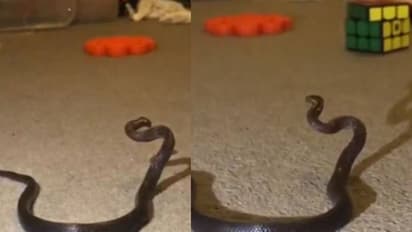 ഷൂലെയ്സ് എന്നു കരുതി എടുക്കാൻ തുടങ്ങി; ആറ് വയസുകാരിയുടെ മുറിക്കുള്ളില്‍ അമ്മ കണ്ടത്...