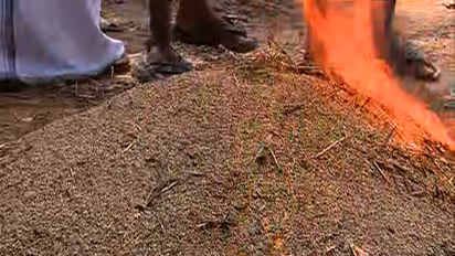 നെല്ല് സംഭരിക്കാത്തതിൽ കോട്ടയത്ത് കർഷക പ്രതിഷേധം