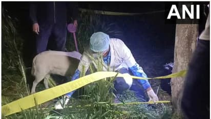 യുപിയിലെ അലിഗഡിൽ 16 വയസ്സുള്ള പെൺകുട്ടിയുടെ മൃതദേഹം പാടത്ത്; ഉന്നാവ സംഭവം കഴിഞ്ഞിട്ട് ദിവസങ്ങൾ മാത്രം