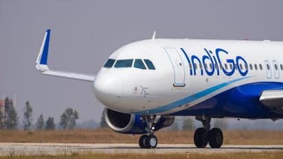 IndiGo Airlines Flight : ಇಂಡಿಗೋ ವಿಮಾನದಲ್ಲಿ ತುಳು ಅನೌನ್ಸ್ಮೆಂಟ್!