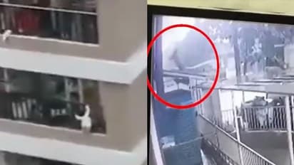 ১২ তলা থেলে পড়ে গিয়েও রক্ষা পেল ২ বছরের মেয়ে, আলৌকিক ঘটনার ভিডিও ভাইরাল