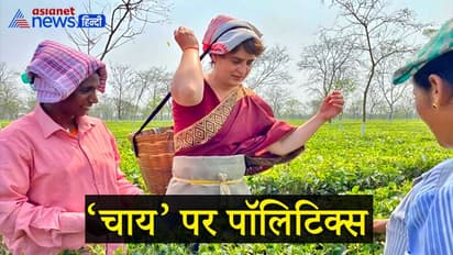 Assam assembly elections: बागान में सिर पर टोकरी लटकाकर चाय पत्ती तोड़ते दिखीं प्रियंका गांधी