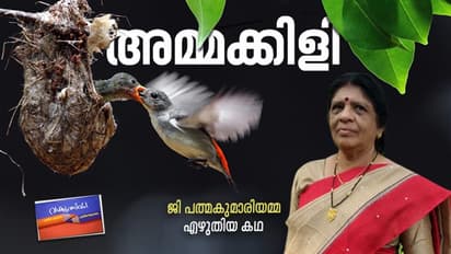 അമ്മക്കിളി,  ജി പത്മകുമാരിയമ്മ എഴുതിയ കഥ