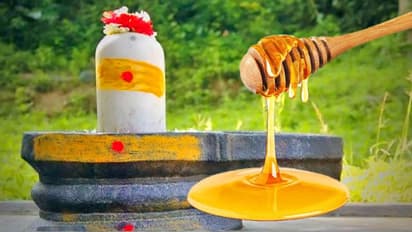 ప్రపంచంలో కెల్లా అత్యంత ఖరీదైన తేనె.. ఏంటో దీని స్పెషలిటీ..?