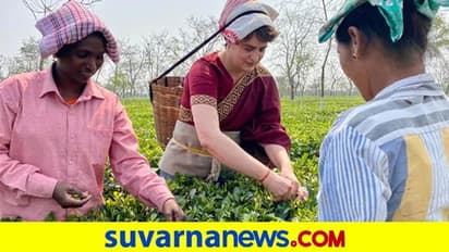 ಟೀ ಎಸ್ಟೇಟ್‌ ಕಾರ್ಮಿಕರೊಂದಿಗೆ ಕೆಲಸ ಮಾಡಿದ ಪ್ರಿಯಾಂಕಾ ಗಾಂಧಿ!