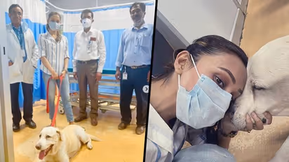 Mimi Chakraborty's dog gets cancer treatment in Chennai, Here's what doctors have to say