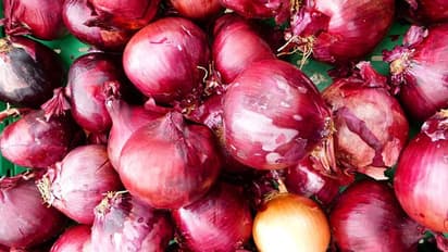 ಖಾಲಿ ಹೊಟ್ಟೆಯಲ್ಲಿ ಹಸಿ ಈರುಳ್ಳಿ ಸೇವಿಸಿದ್ರೆ ಹತ್ತಾರು ಪ್ರಯೋಜನ