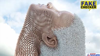 FACT CHECK: क्या वाकई ये जापान का सबसे खूबसूरत फाउंटेन है? जानें वायरल VIDEO का सच