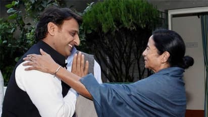 UP Election : മമതാ ബാനർജിക്ക് സ്വാഗതം, കോൺഗ്രസിന് പരിഹാസം, യുപിയിൽ റാലികളിൽ സജീവമായി അഖിലേഷ് യാദവ്