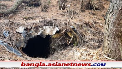 জঙ্গলের মধ্যে কৃত্রিম গুহা, জঙ্গিদের গোপন আস্তানা গুঁড়িয়ে দিল নিরাপত্তা বাহিনী