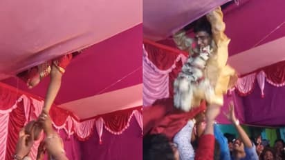 প্যান্ডেলের কাপড় ছিঁড়ে বিয়ের আসরে বরের প্রবেশ, দেখে নিন ভাইরাল হওয়া ভিডিওটি