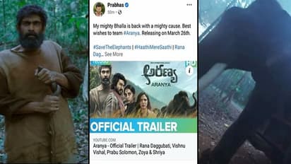 Karan Johar, Prabhas, and Kriti Kharbanda are all praises for 'Haathi Mere Saathi'