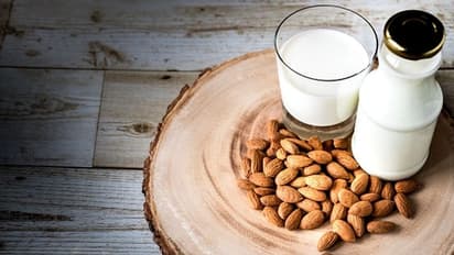 Almond Milk :  ஆரோக்கியத்தை அள்ளிக் கொடுக்கும் பாதாம் பால் டீ, காஃபி தயாரிப்பது எப்படி?