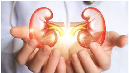 మూత్రపిండాల్లో సమస్యా...? ఈ డ్రింక్స్ తాగితే చాలు..!