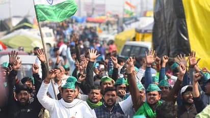 Supreme Court-appointed panel submits report on farm laws