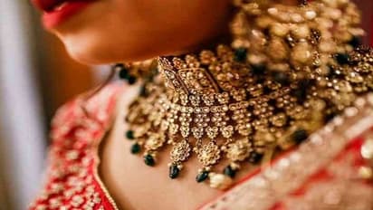 Gold Rate Today: കുതിച്ചുചാട്ടത്തിൽ വിശ്രമിച്ച് സ്വർണവില; വിപണി നിരക്ക് അറിയാം