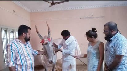 ಮಂಡ್ಯದಲ್ಲಿ ಡಿಂಪಲ್ ಕ್ವೀನ್.. ಪವಾಡದ ಬಸಪ್ಪನ ಆಶೀರ್ವಾದ