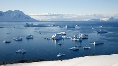 Greenland loses 8.5 billion tonnes of ice sheet in a day, enough to drown Andhra Pradesh