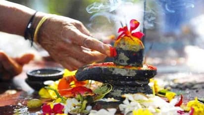 Mahashivratri 2023: ಶಿವನ ನೆಚ್ಚಿನ ಈ ಹೂವಿನಿಂದ ಪೂಜಿಸಿದರೆ ಪಾಪ ದೋಷಗಳಿಂದ ಮುಕ್ತಿ