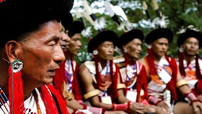 कभी खाया है नागालैंड का 'चिकन'? मुर्गी नहीं, इस जानवर के मांस को पकाकर खाते हैं लोग