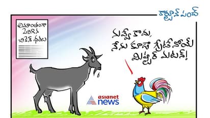 మాంసాహార ప్రియులకు షాక్... భారీగా పెరిగిన చికెన్ ధర